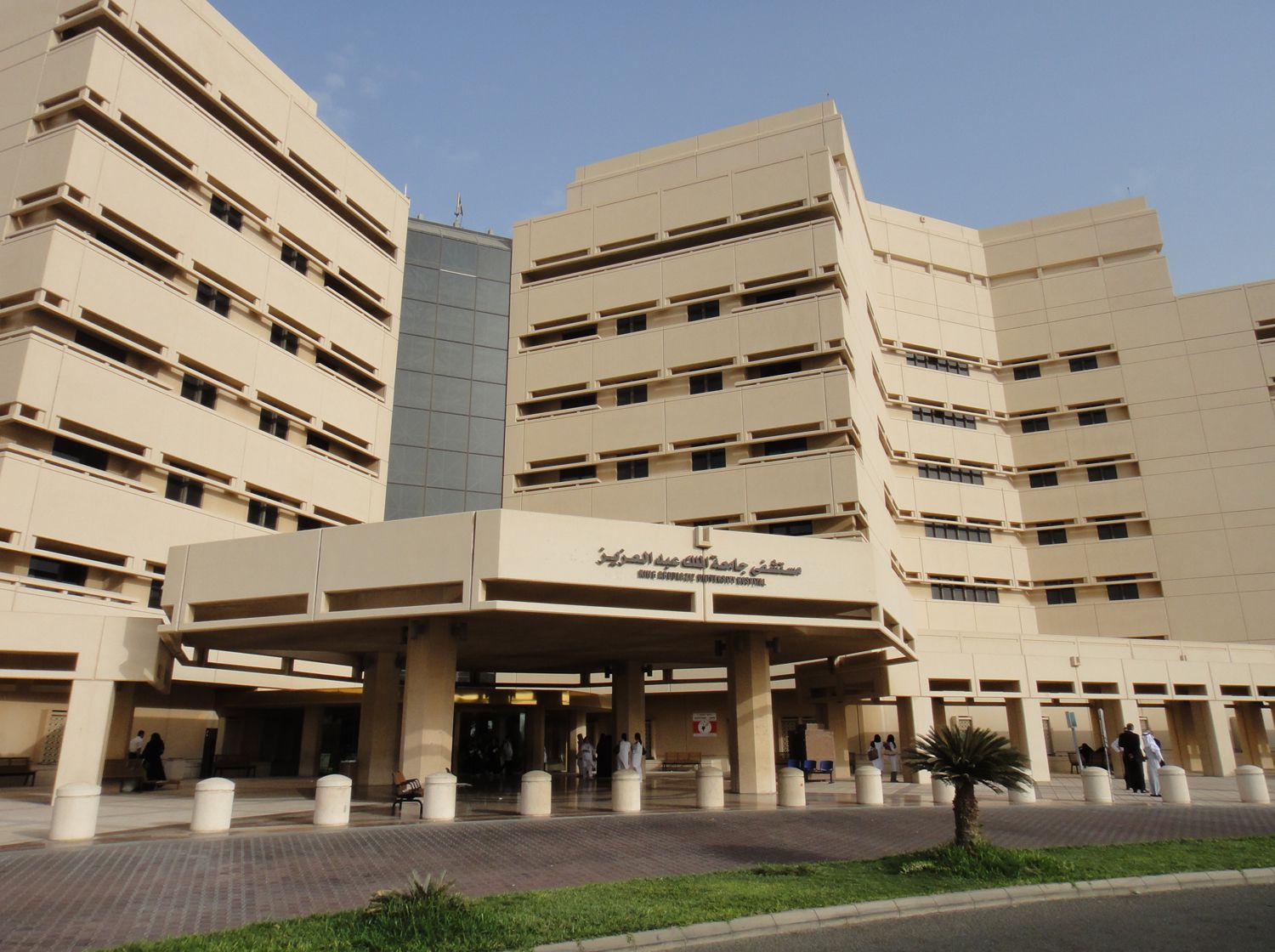 دليل المقررات جامعة الملك عبدالعزيز